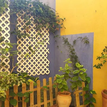 Casa Emi. La Alpispa. Apartamento