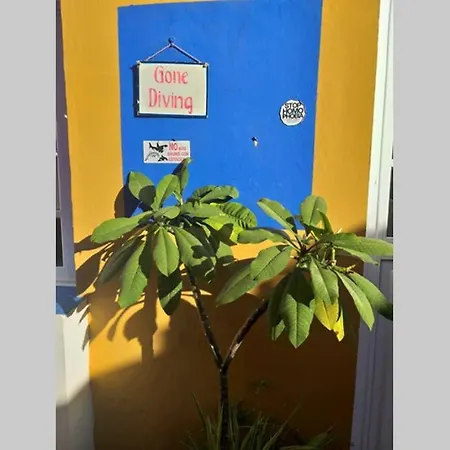 Apartmán Casa Emi. La Alpispa. Los Silos